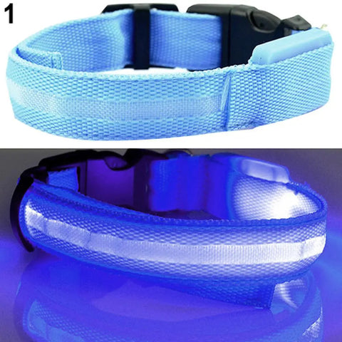 LED Dog Anti-Lost Collar