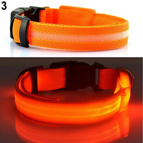 LED Dog Anti-Lost Collar