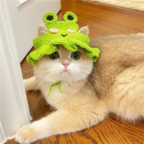 Cute Cartoon Knitted Hat