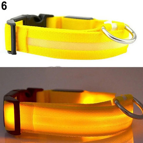 LED Dog Anti-Lost Collar