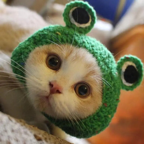 Cute Cartoon Knitted Hat