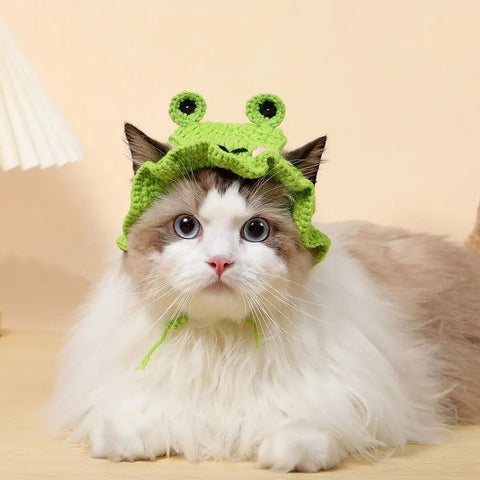 Cute Cartoon Knitted Hat