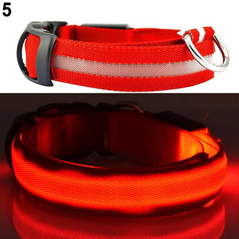 LED Dog Anti-Lost Collar