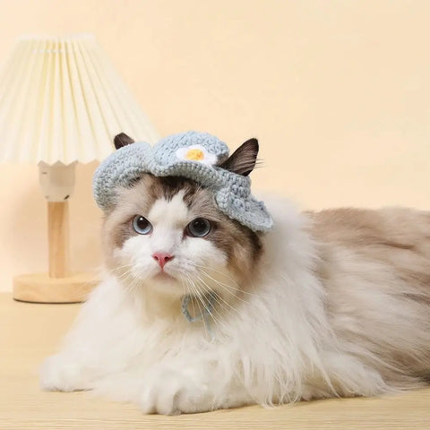 Cute Cartoon Knitted Hat