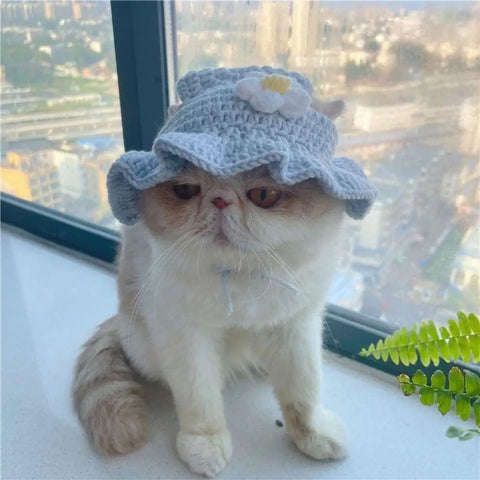 Cute Cartoon Knitted Hat