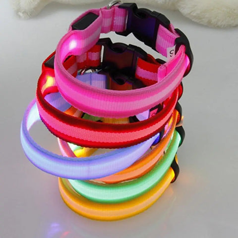 LED Dog Anti-Lost Collar