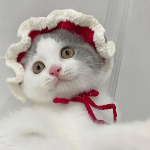 Cute Cartoon Knitted Hat