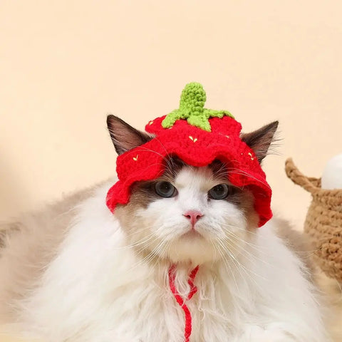Cute Cartoon Knitted Hat