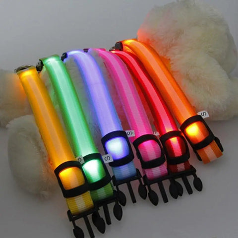 LED Dog Anti-Lost Collar