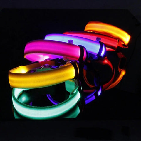 LED Dog Anti-Lost Collar