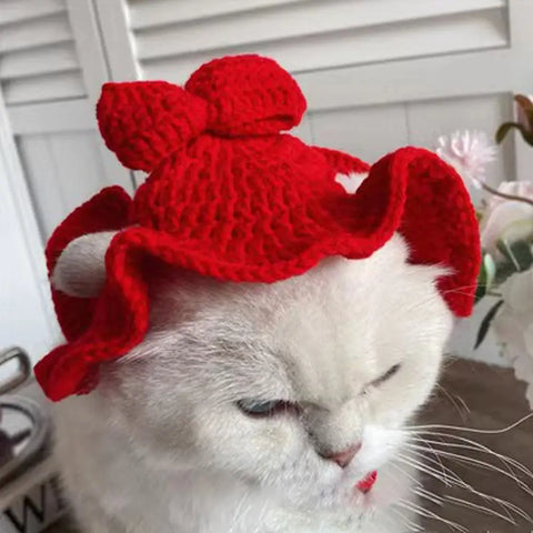 Cute Cartoon Knitted Hat