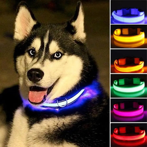 LED Dog Anti-Lost Collar