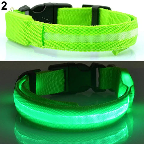 LED Dog Anti-Lost Collar